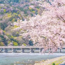 神保町の歯医者、神保町野本歯科医院で、春に歯が浮く・痛む5つの理由【口腔環境ストレスチェックリスト付】